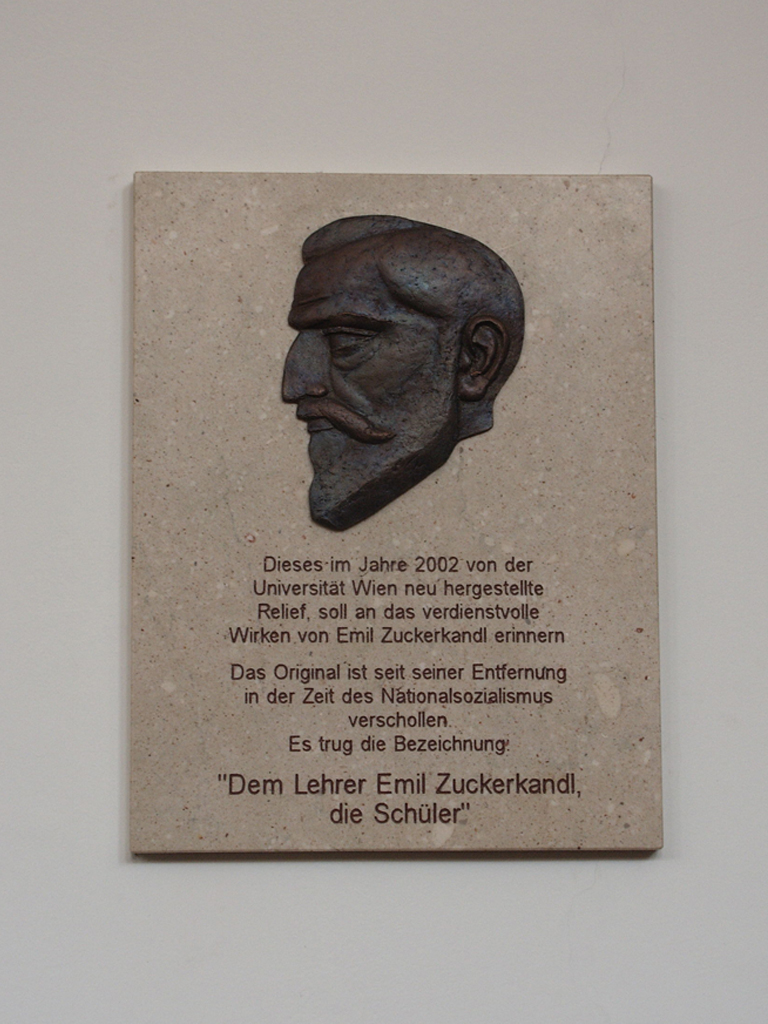 Emil Zuckerkandl (18491910) Karins Blog über den Zentralfriedhof und